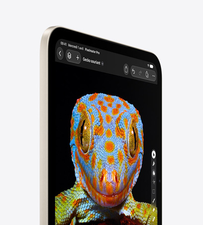 iPad mini, vue de face en finition lumière stellaire, affichant une image en gros plan d’une grue à couronne grise, vue latérale, plumes noires, blanches et jaunes, visage et bec rouges, plumes noires autour de l’œil, arrière-plan sombre.