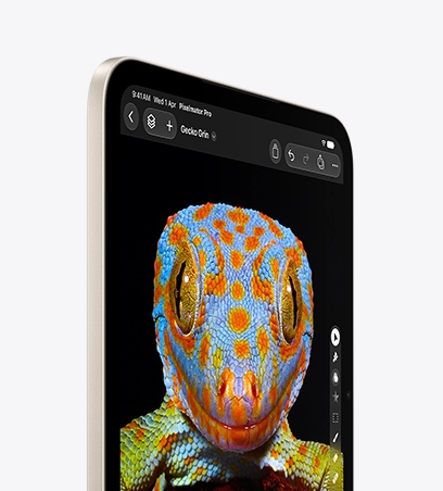 iPad mini, front view in Starlight color, displaying a close-up image of a gecko on the screen with pixel-level lighting control, rich and accurate colors, and deeper dynamic range.