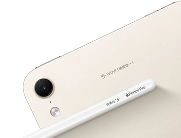 淺金色 iPad 的背面圖，展示後置相機，iPad 背面和 Apple Pencil Pro 均刻有鐫刻文字。