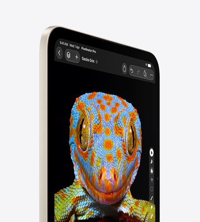 iPad mini, front view in Starlight color, displaying a close-up image of a Grey Crowned Crane, side view, black, white, and yellow feathers, red face and beak, black feathers around eye, dark background.
